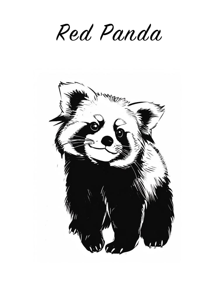 B&W Red Panda Poster