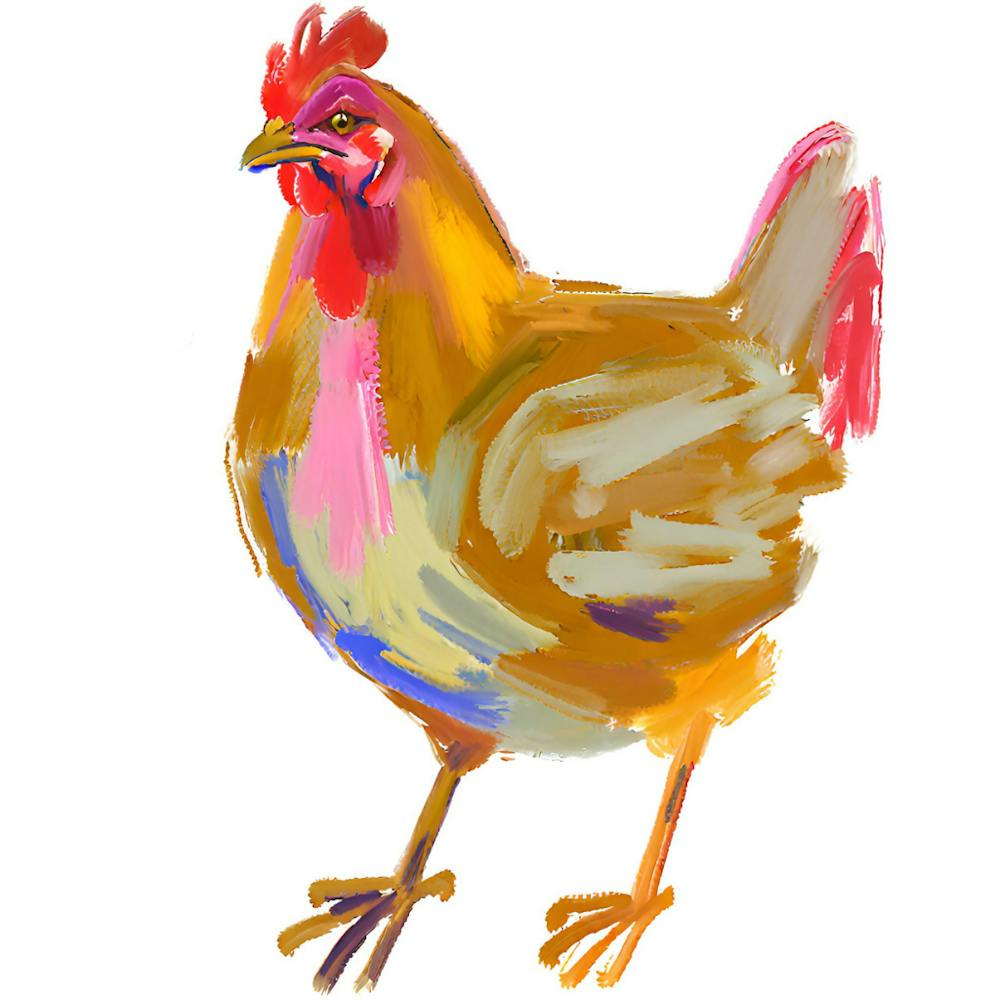 Chicken 08