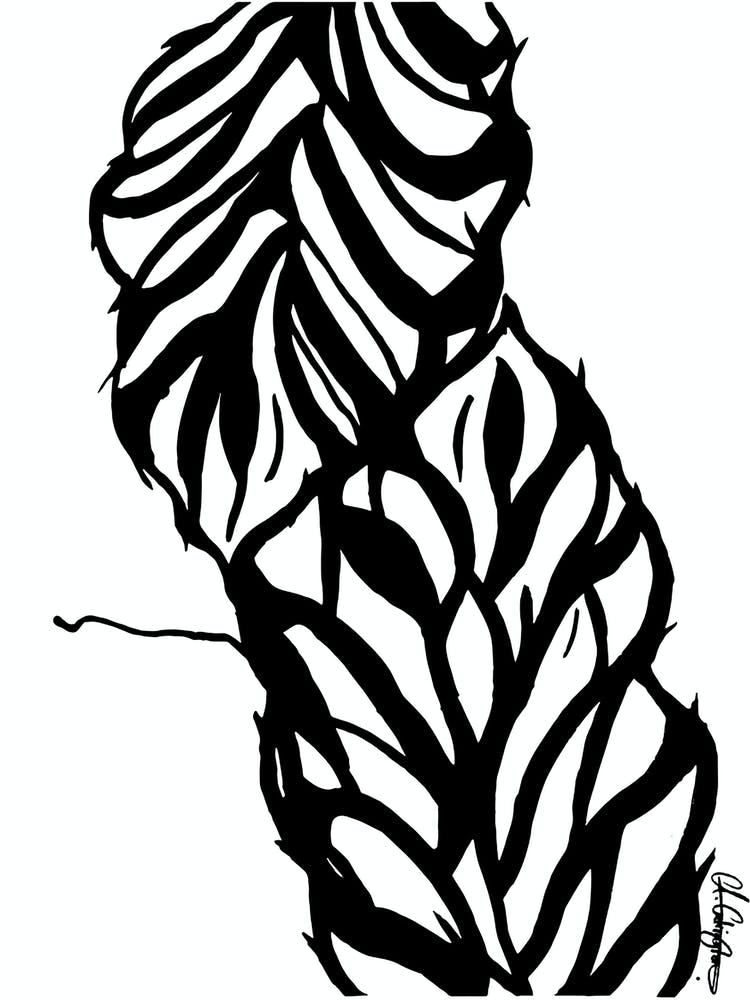 Black and White Nature leaf