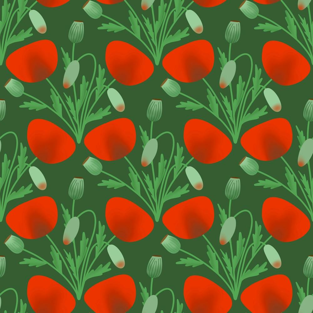 Poppy Fierce Wolf Poppies Bud