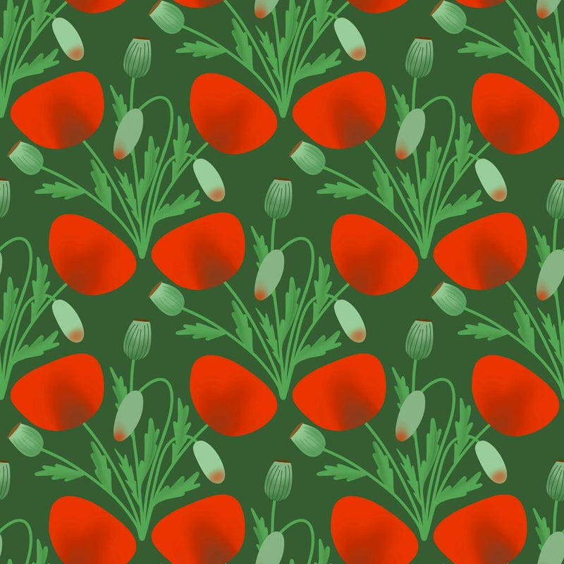 Poppy Fierce Wolf Poppies Bud
