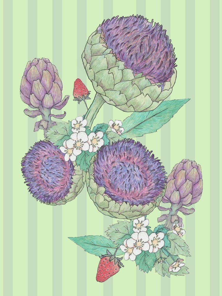 Spring Artichoke