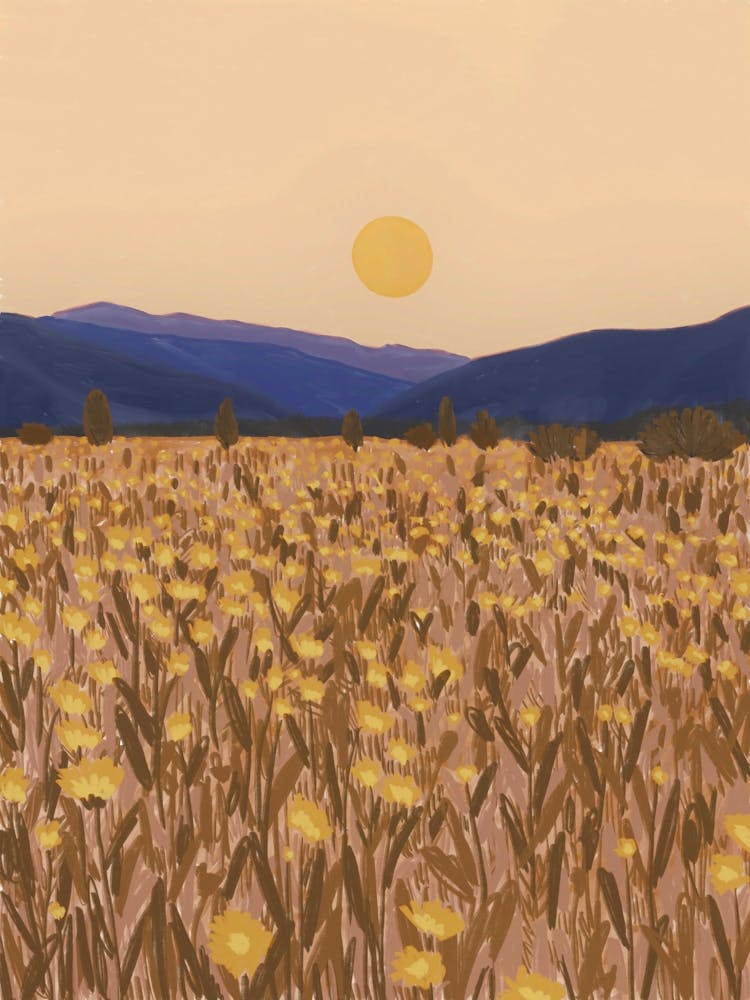 Indian Summer