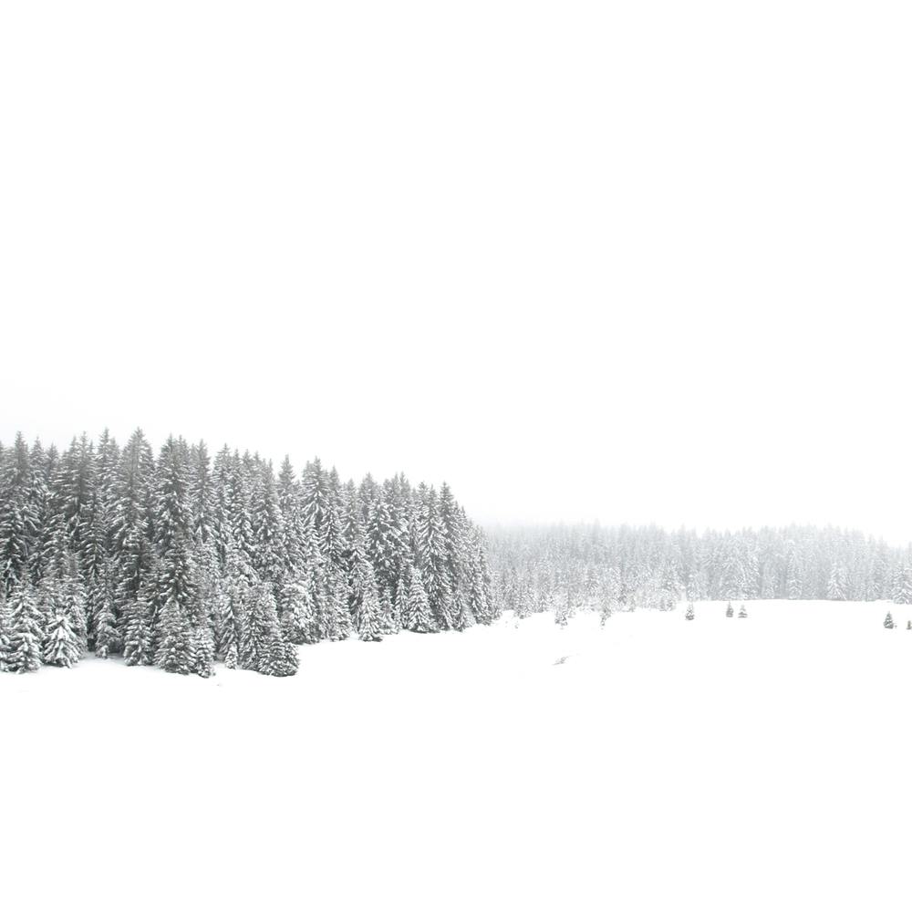 Weißer Winter Quadrat