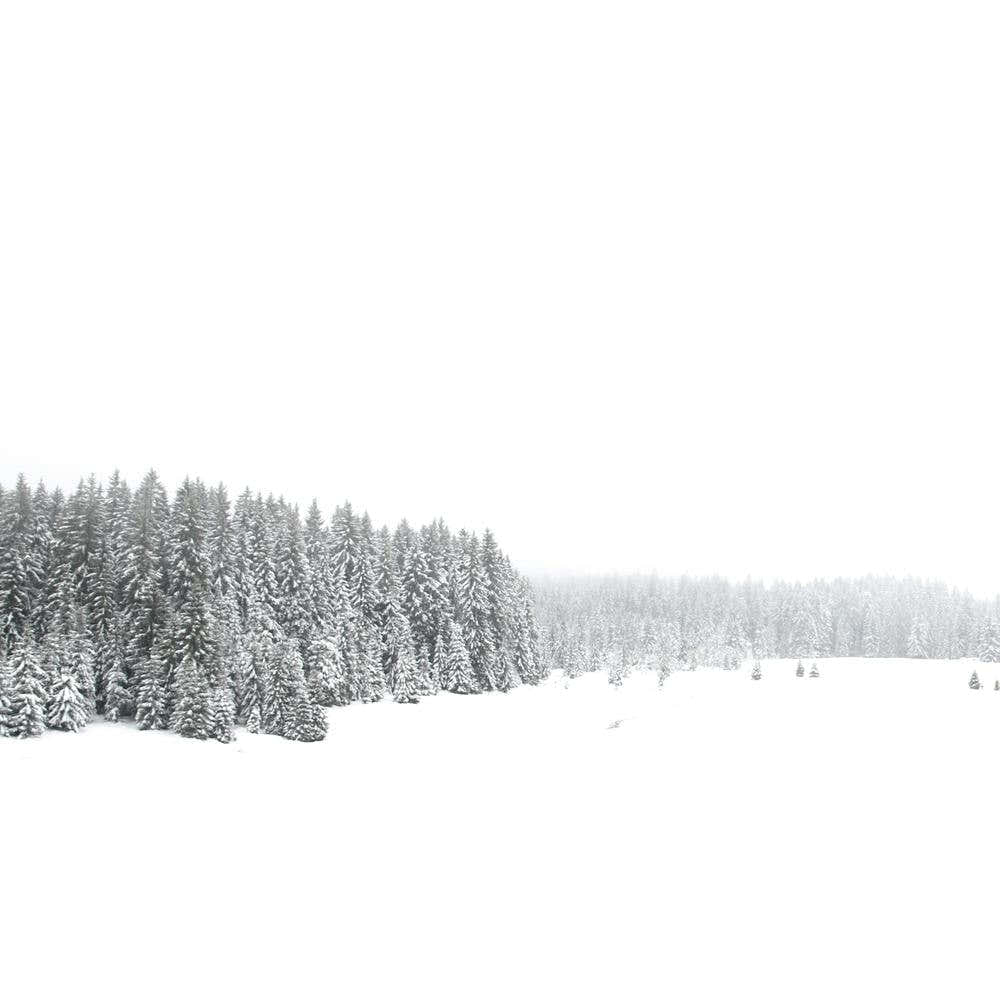 White White Winter Square