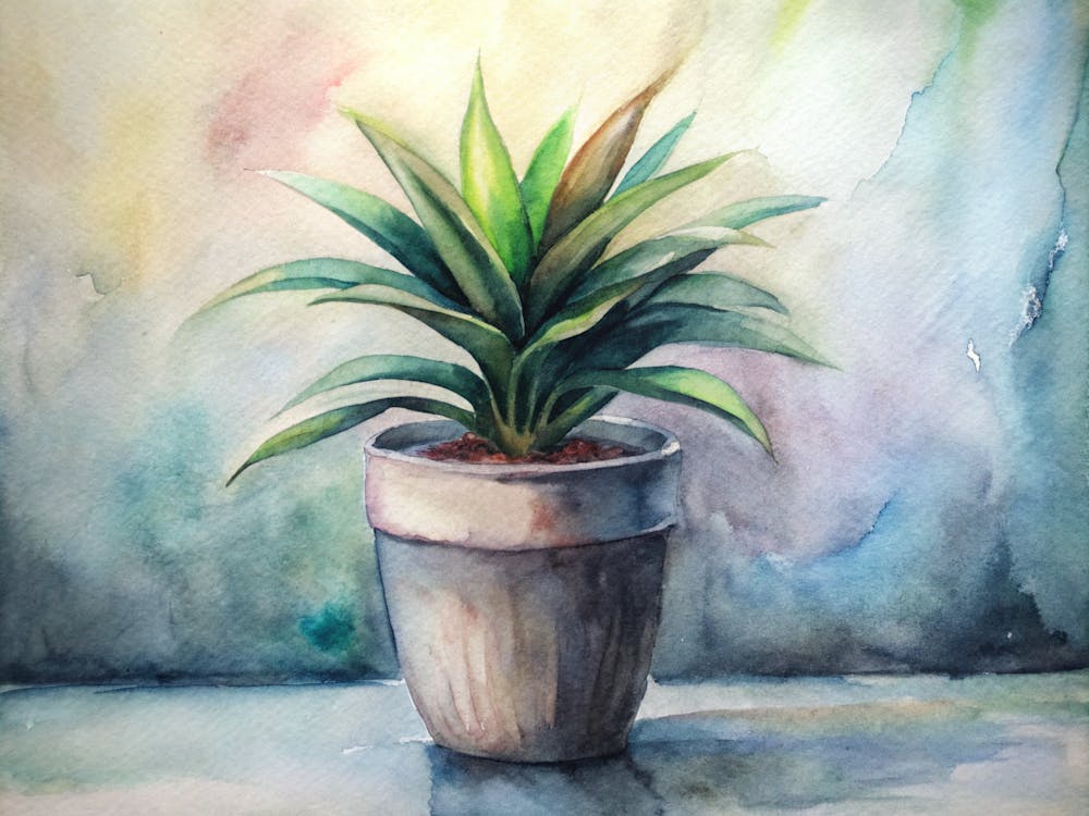 Potted Plant 7