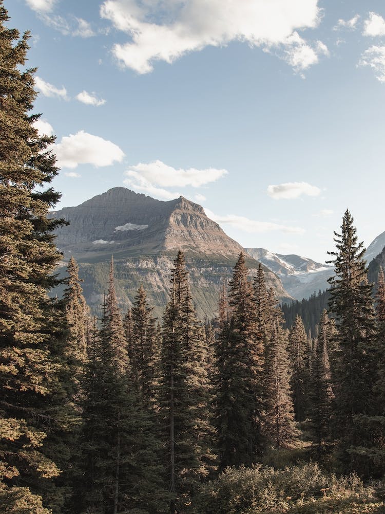 Wilderness Mountain View
