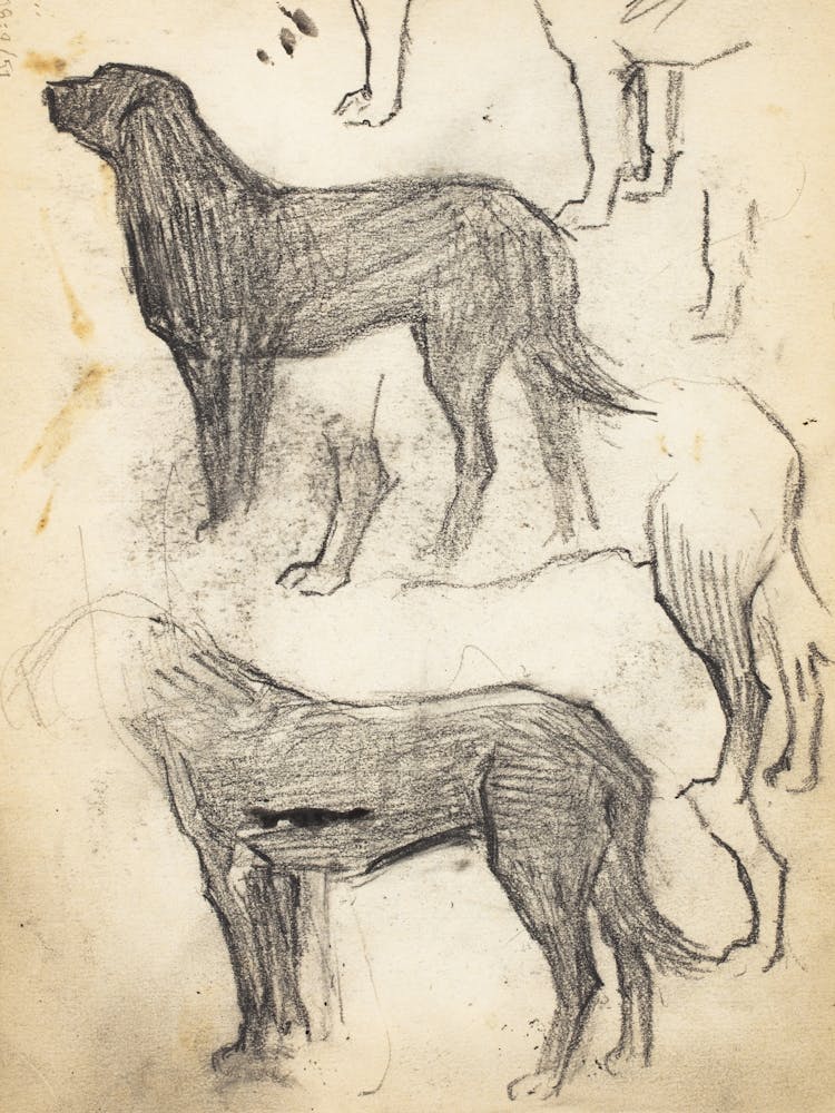 Koira, Luonnos, 1889 1891part Of A Sketchbook By Magnus Enckell
