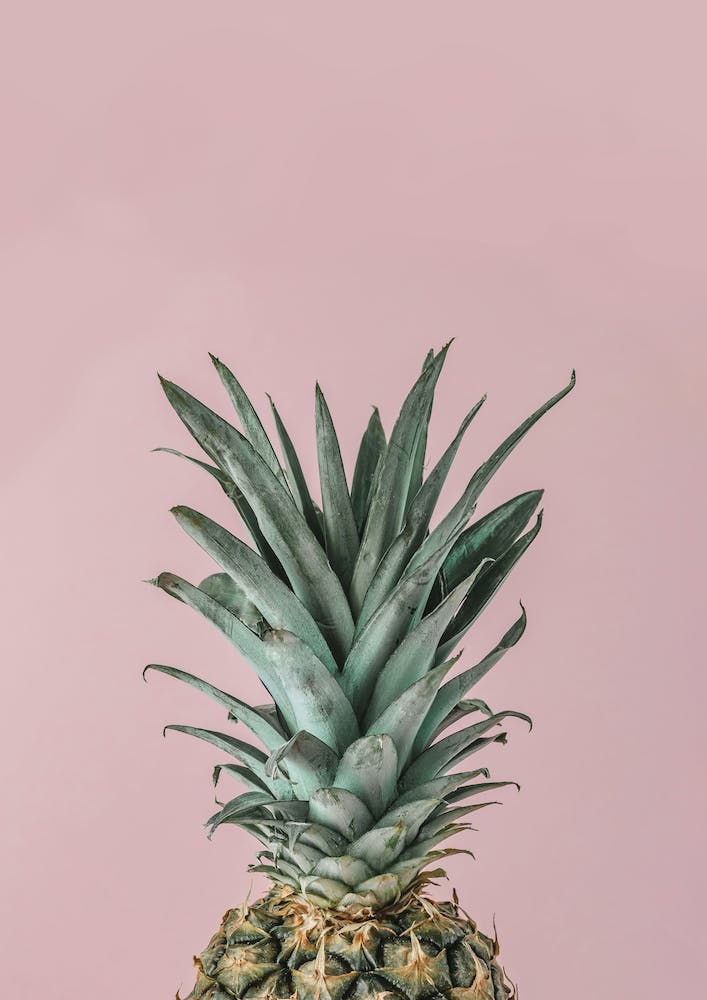 Tropicana