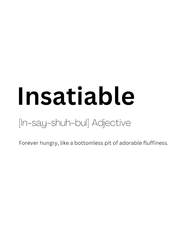 Insatiable Definition Meaning 1