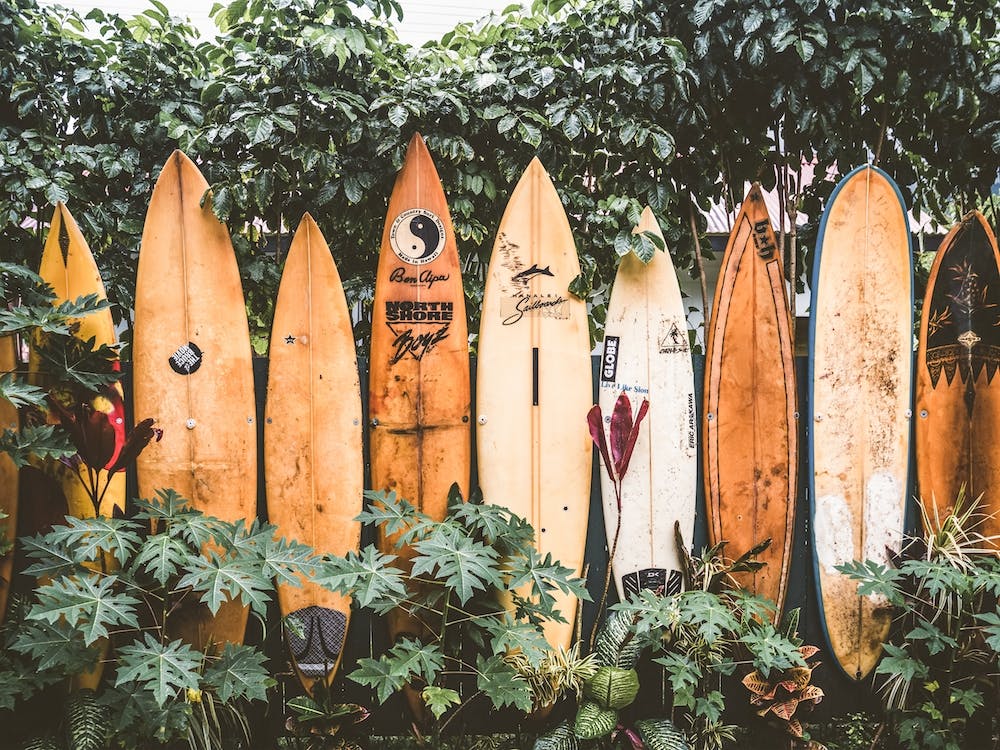 Surfboard Fence