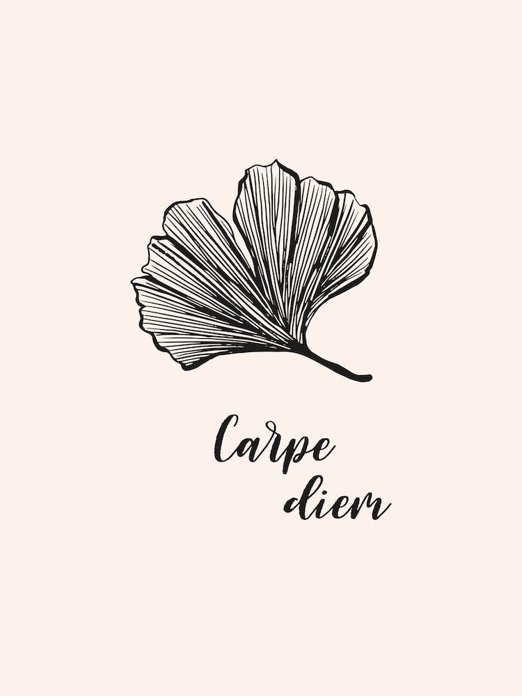 Carpe Diem Gingko Biloba