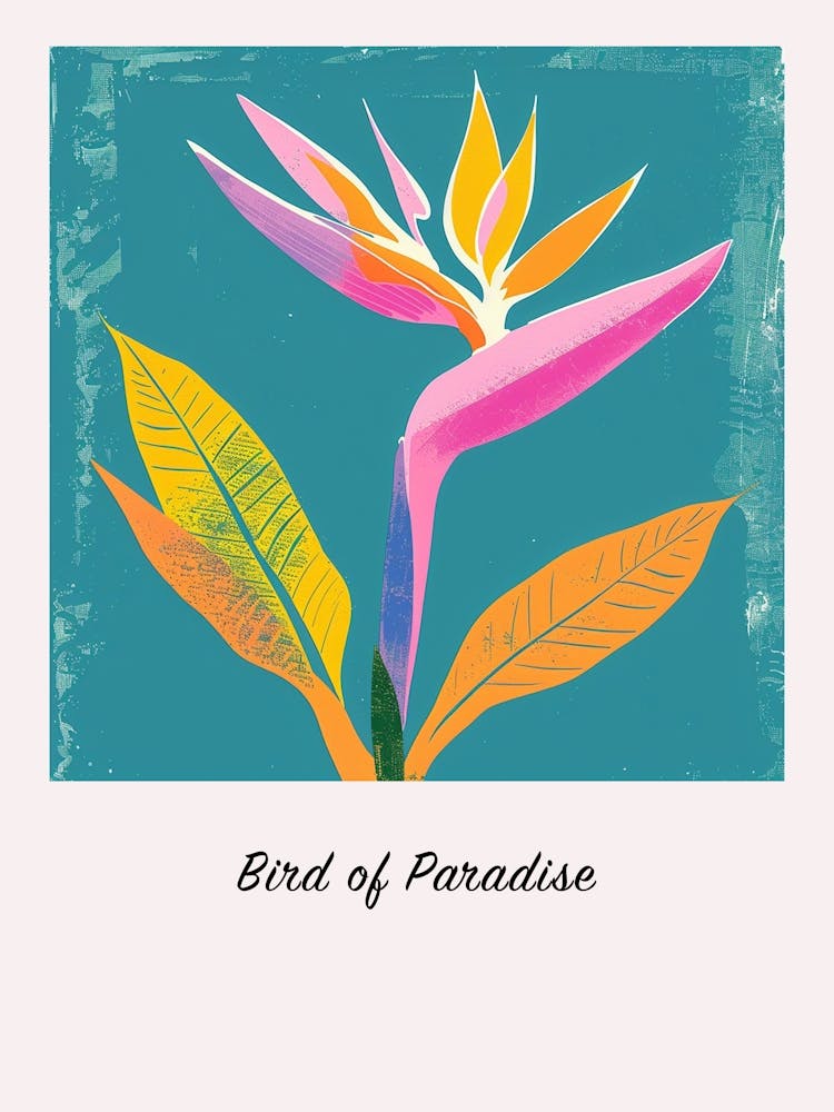Bird Of Paradise 1 Square Flower Illustration Poster