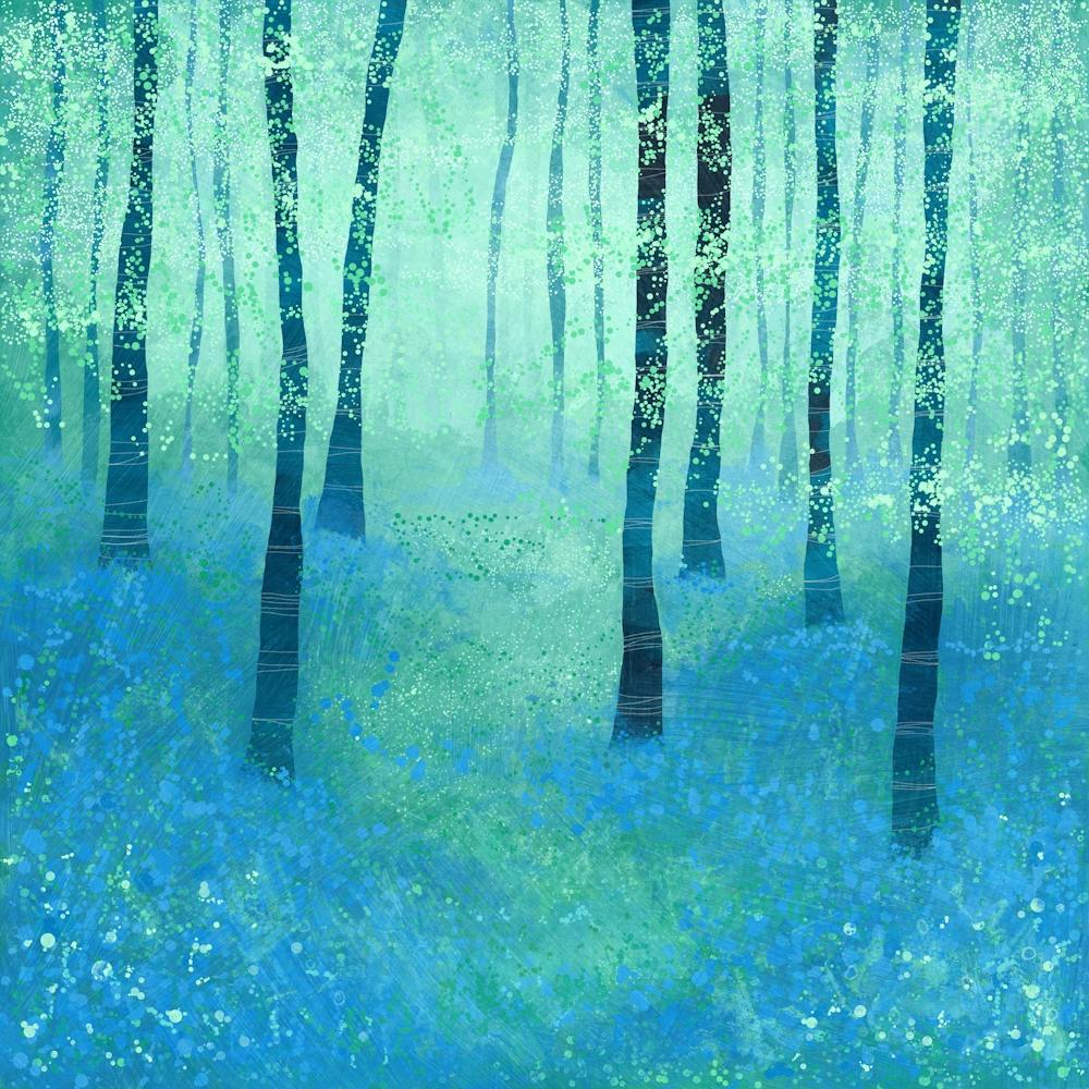Bluebells Woodland Forest Landscape