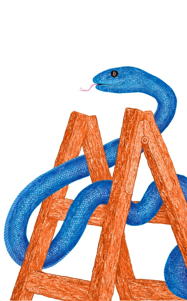 Snakes And Ladders