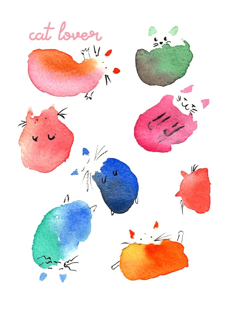 Rainbow Cats