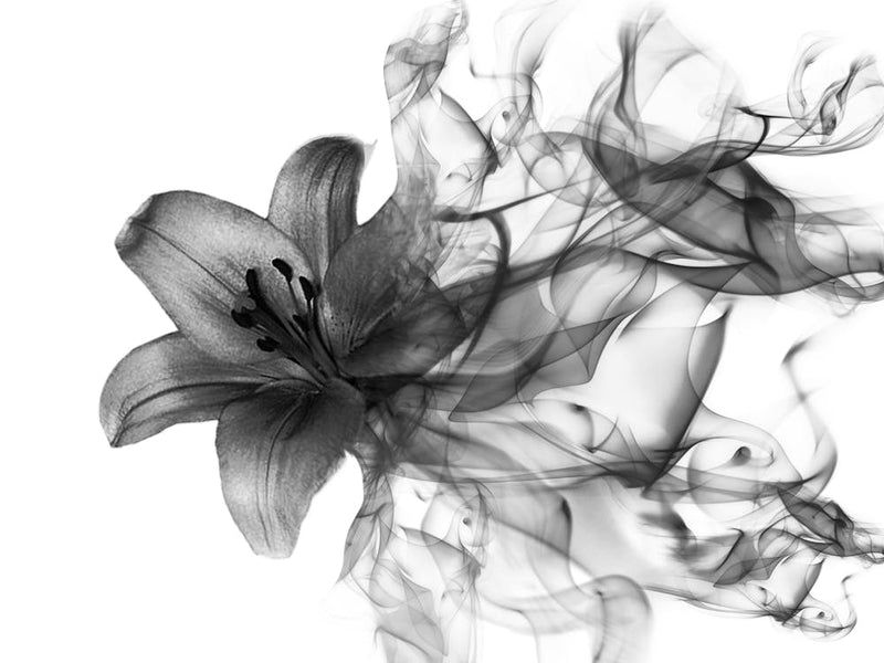 Smoke Lily 1