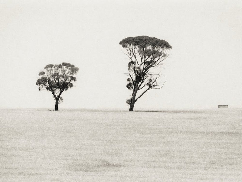 Wheatbelt Landscape