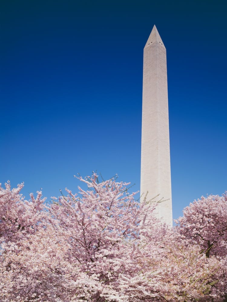 The Washington Monument In Washington, Dc
