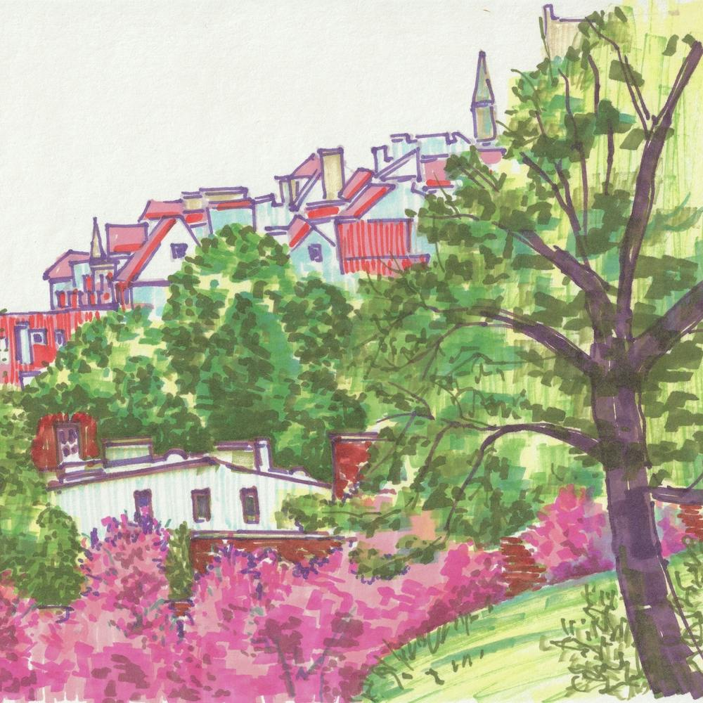 Pinky Warsaw Spring Square