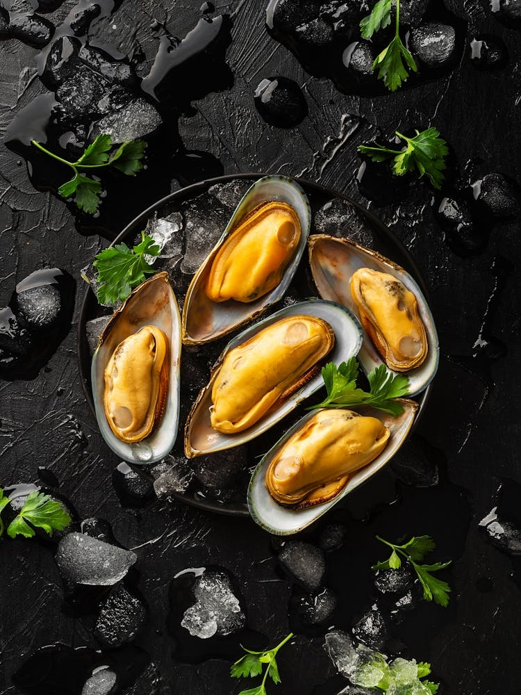 Seafood. Fresh mussels — Food kitchen poster/blackboard, photo art