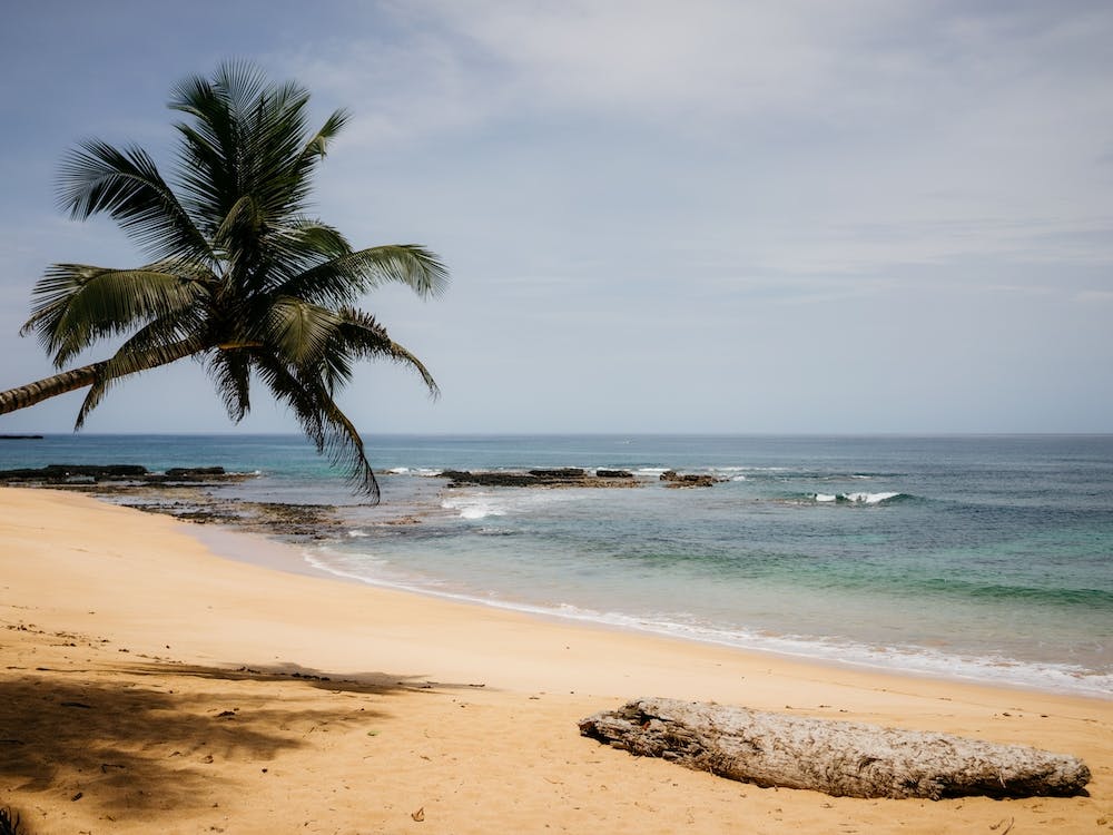 Tropical Beach, Sao Tome And Prince