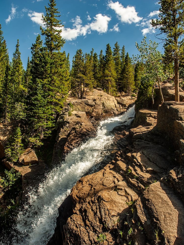 Alberta Falls Portrait
