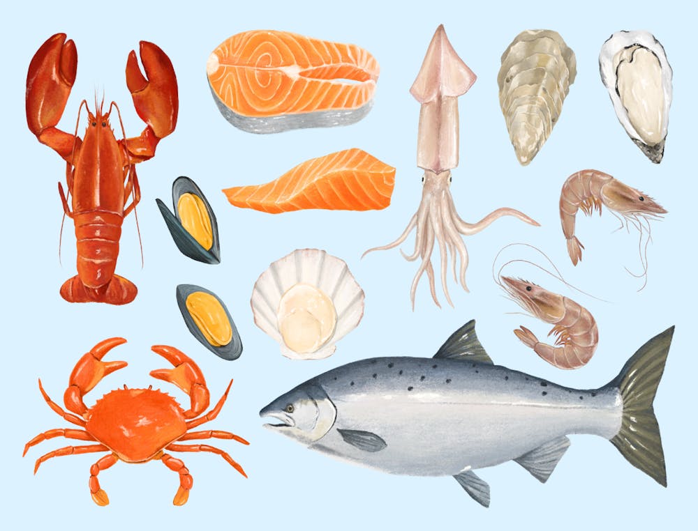 Watercolor Seafood Set