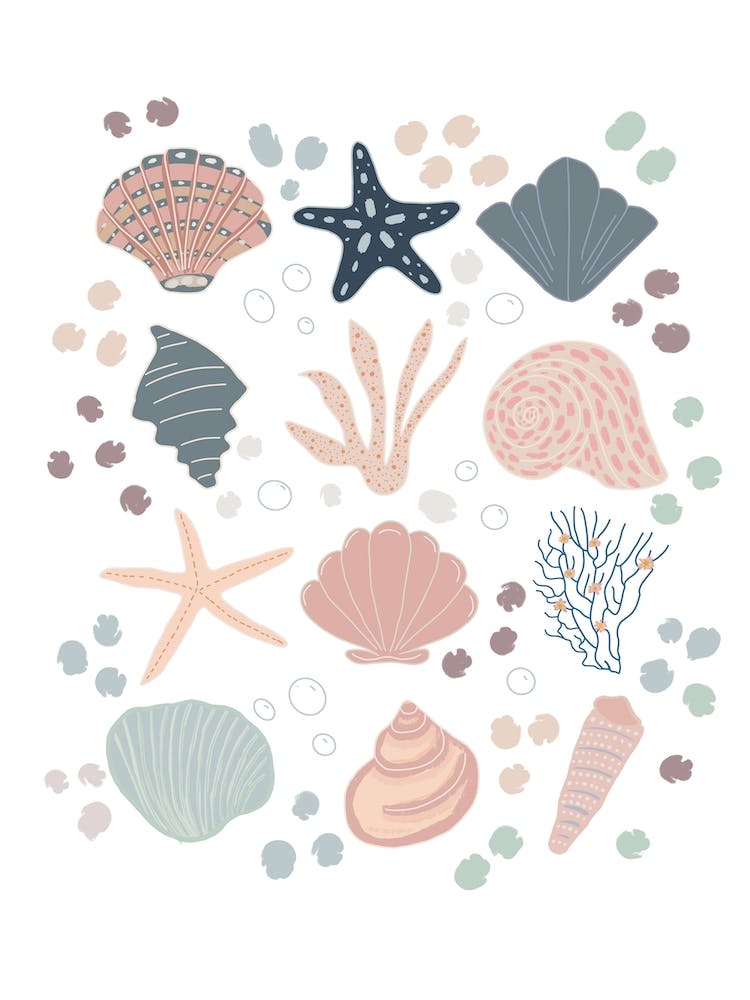 Seashells