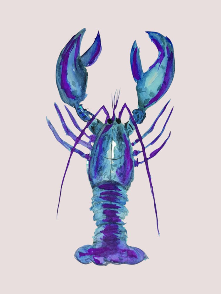 Blue Lobster Nautical