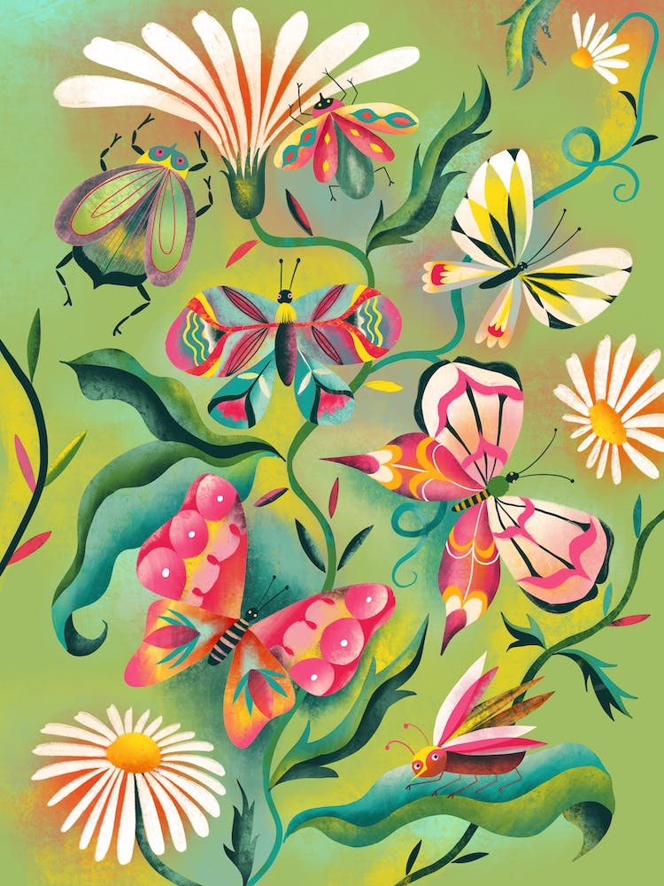 Birds Butterflies And Blooms