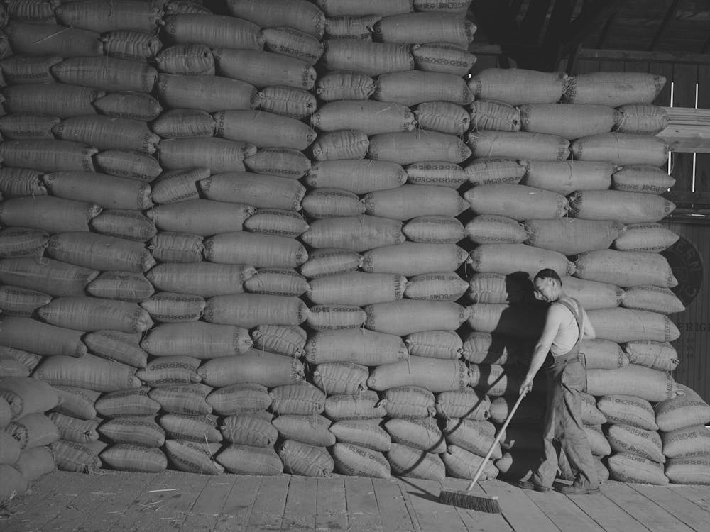 Untitled Photo, Possibly Related To Sack Warehouse For Wheat, Walla Walla County, Washington By Russell Lee