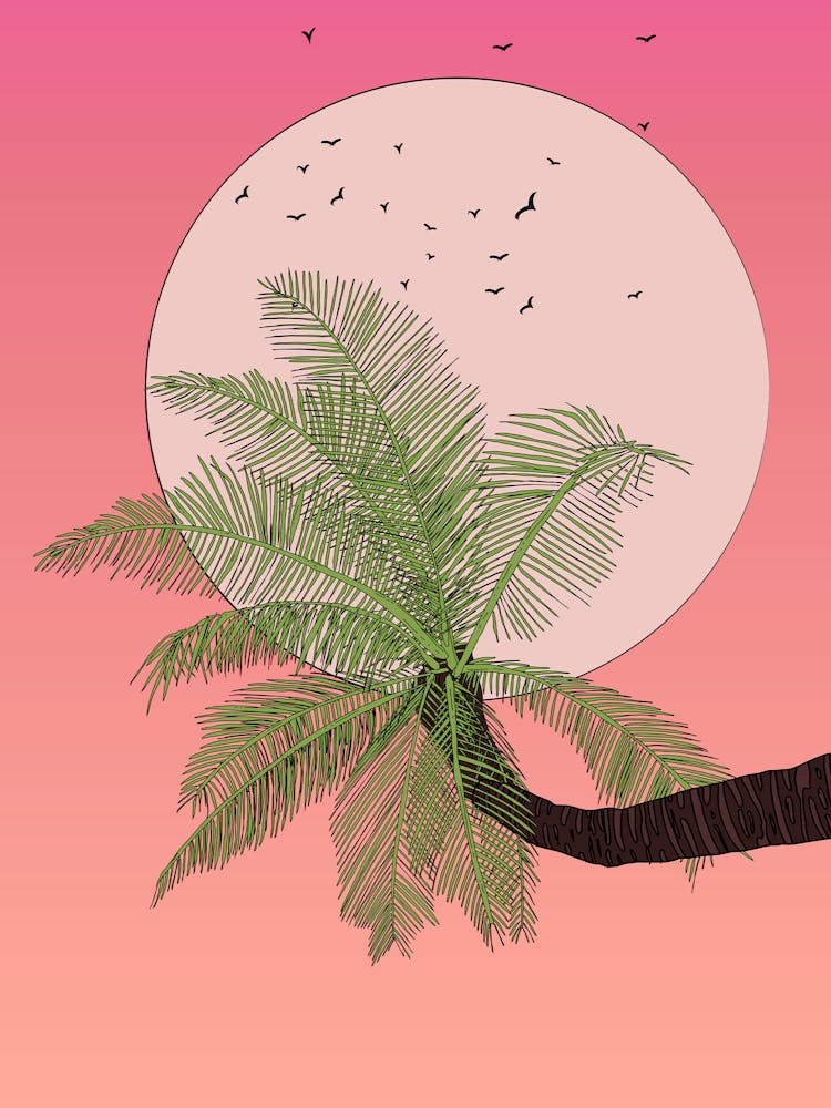 Palm Tree At Dusk 1