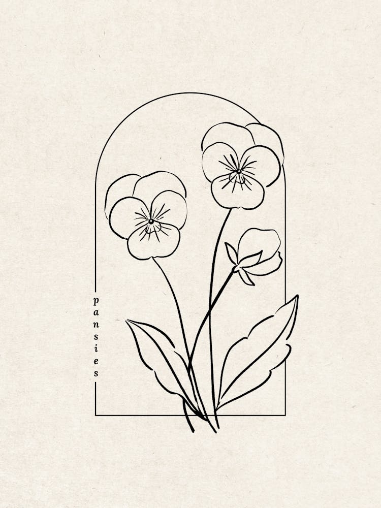 Pansies Flower