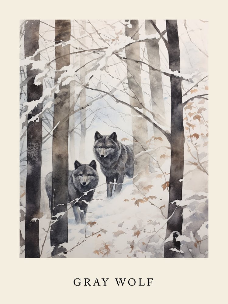 Winter Watercolour Gray Wolf 2 Poster
