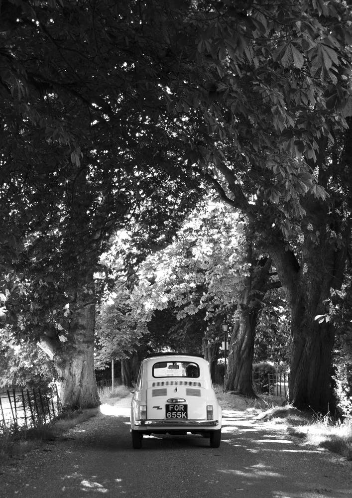 Cinquecento Eine Baumallee Entlang Schwarz & Weiß