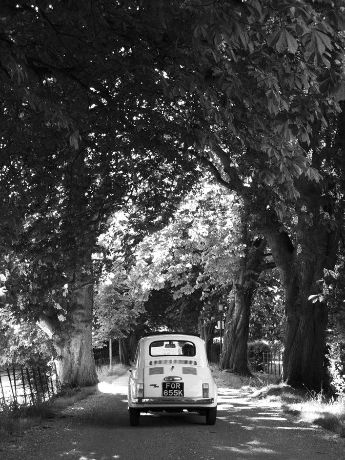 Cinquecento Down An Avenue Of Trees Black & White
