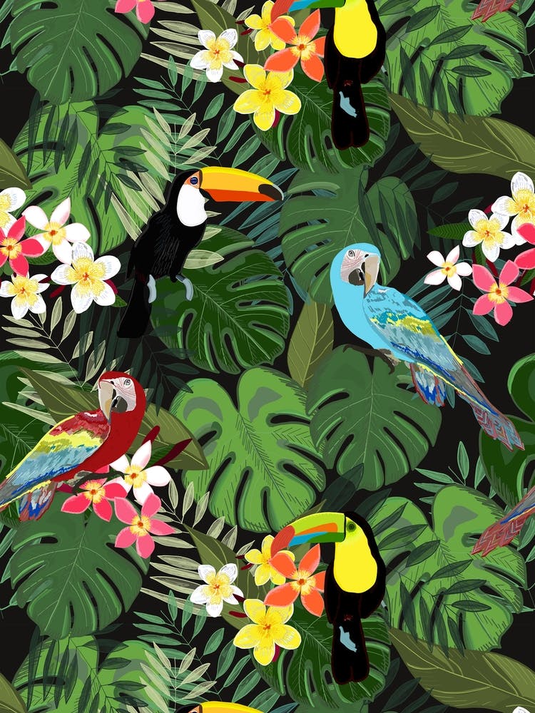 Tropical Forest Birds