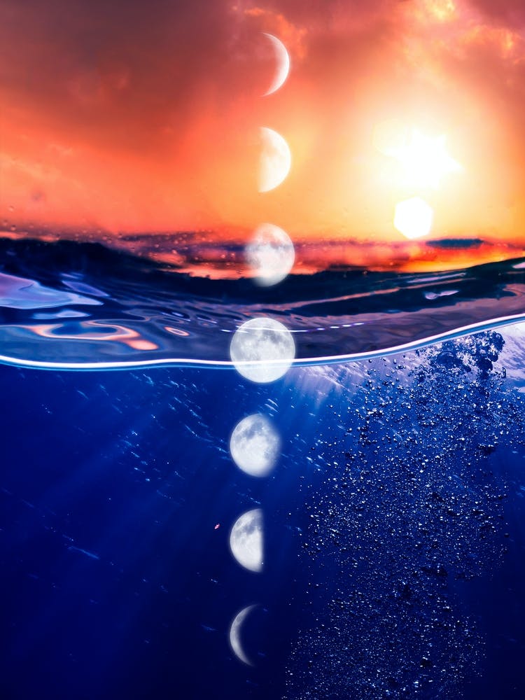 Phases Of The Moon - Moon phases poster