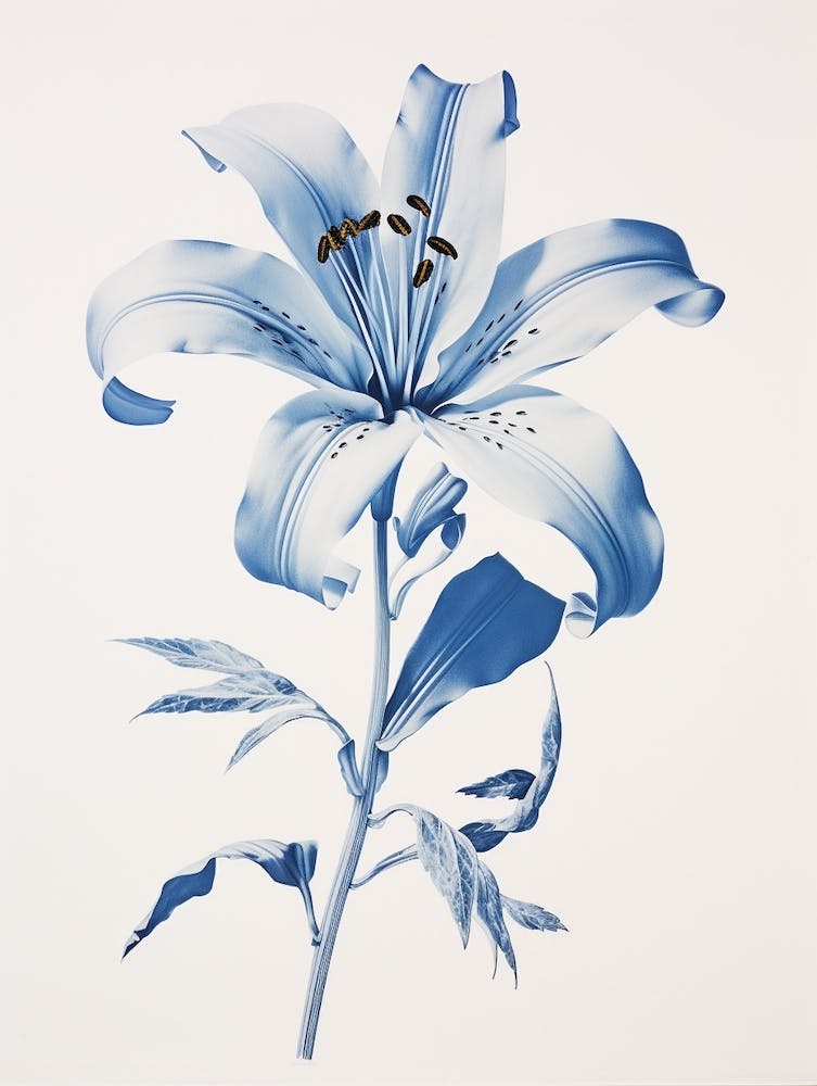Blue Botanical Lily 1