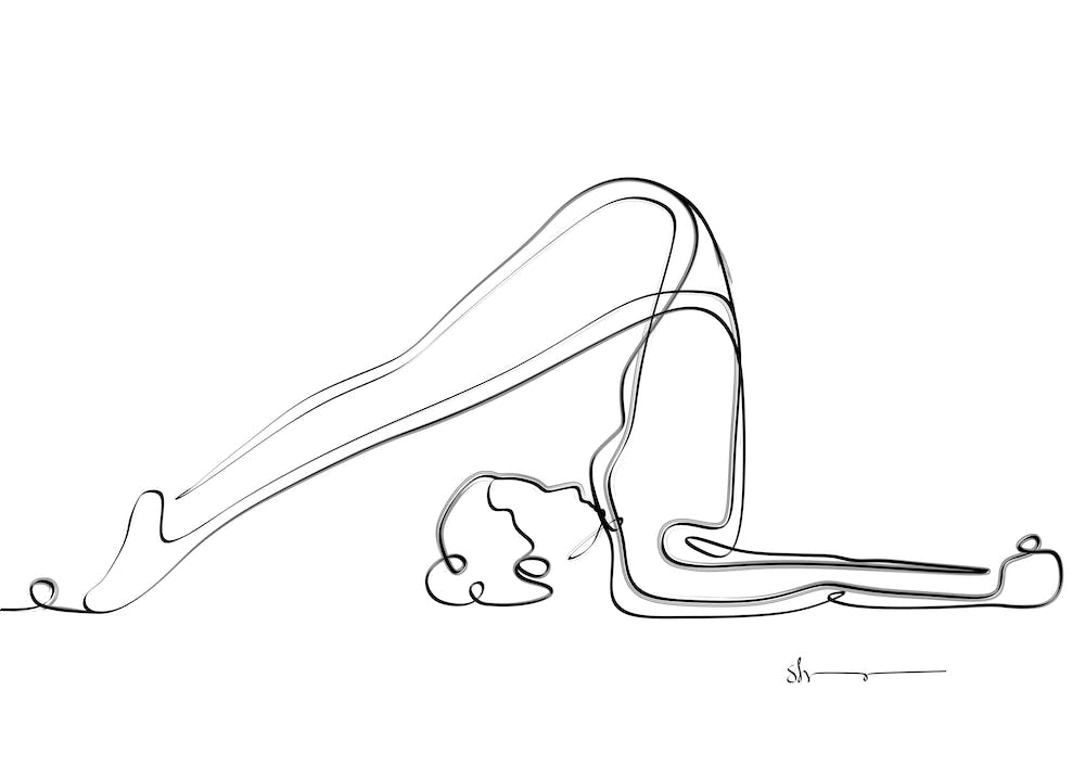 Plow Pose Complete