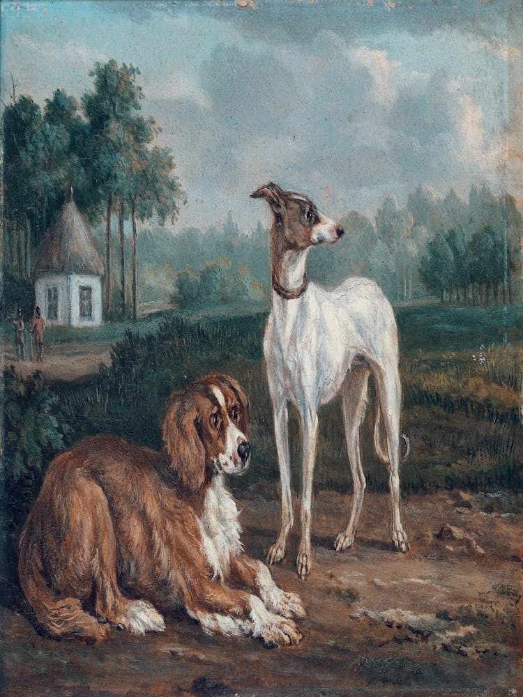 Two Greyhounds