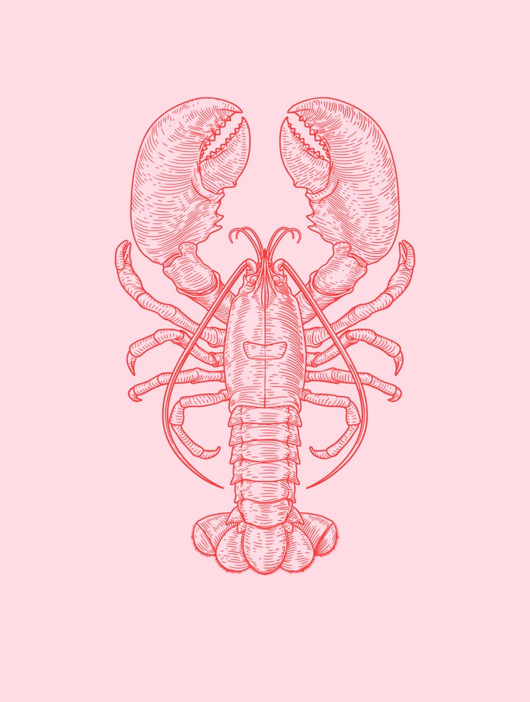 Lobster Print