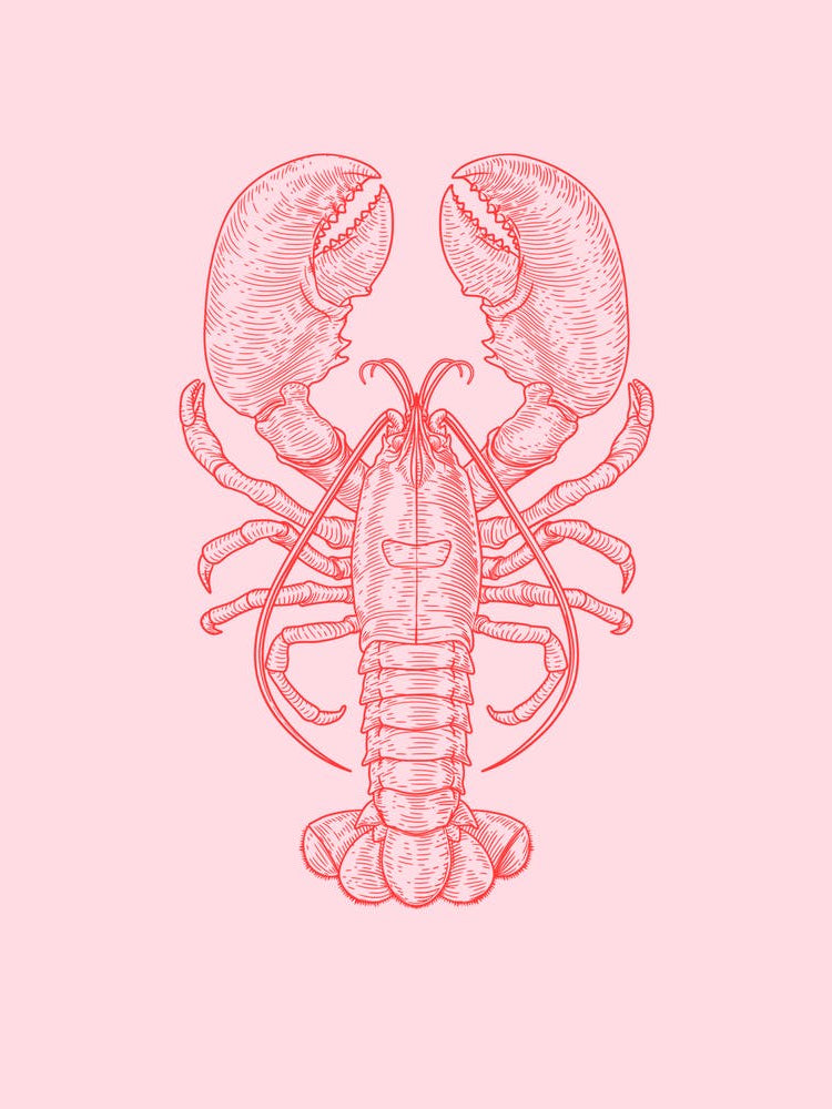 Lobster Print