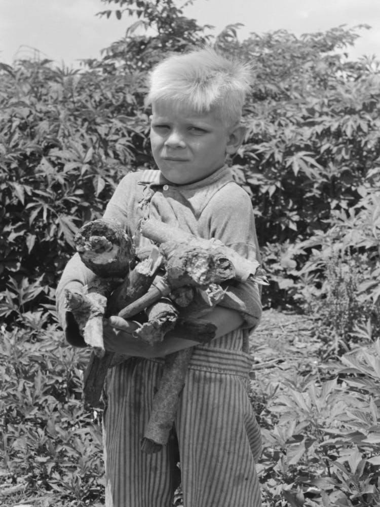 Untitled Photo, Possibly Related To Son Of Day Laborer With Load Of Wood In His Arms, Near Webber Falls, Muskoge