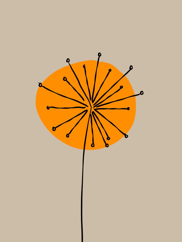 Dandelion 2