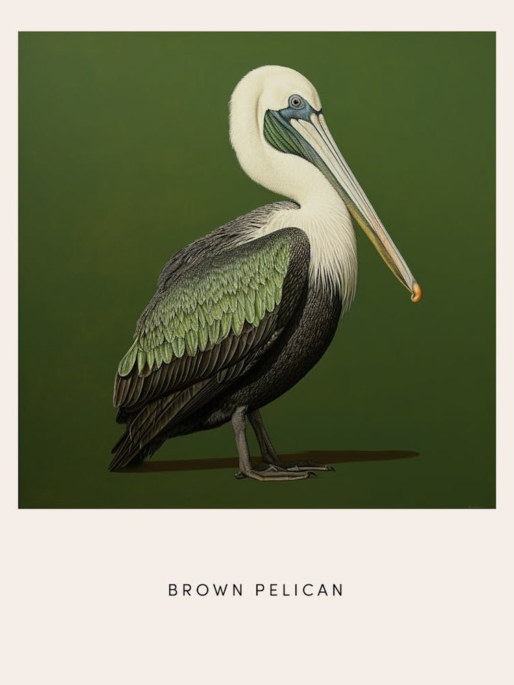 Ohara Koson Inspired Bird Painting Brown Pelican 3 Poster