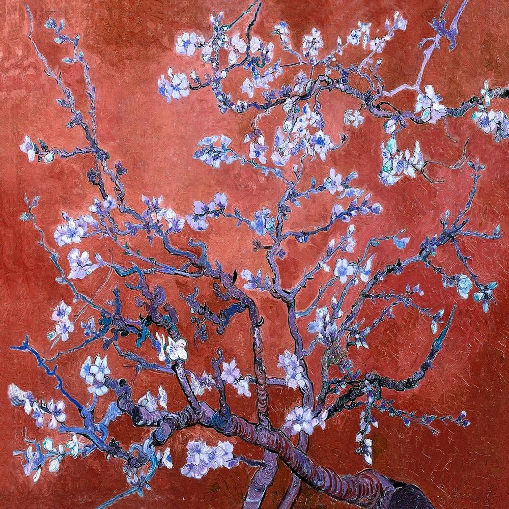 Vincent van Gogh Almond Blossom 4