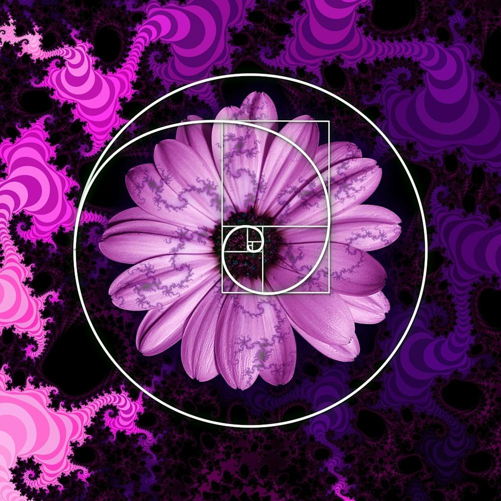 Sacred Geometry Fibonacci Spiral Flowers 1