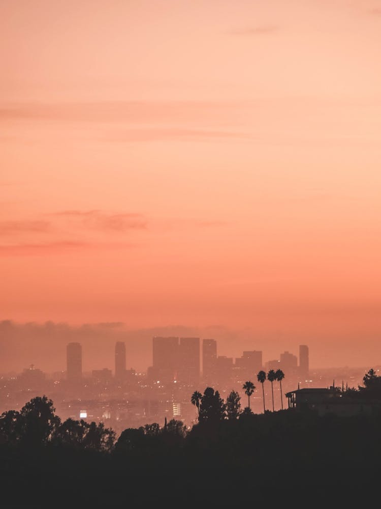 Los Angeles, USA I Sunset light over Los Angeles skyline photography with its vibrant orange aesthetic and palm trees, downtown, villas silhouette panorama view from Hollywood Hill mountains and Griffith Observatory